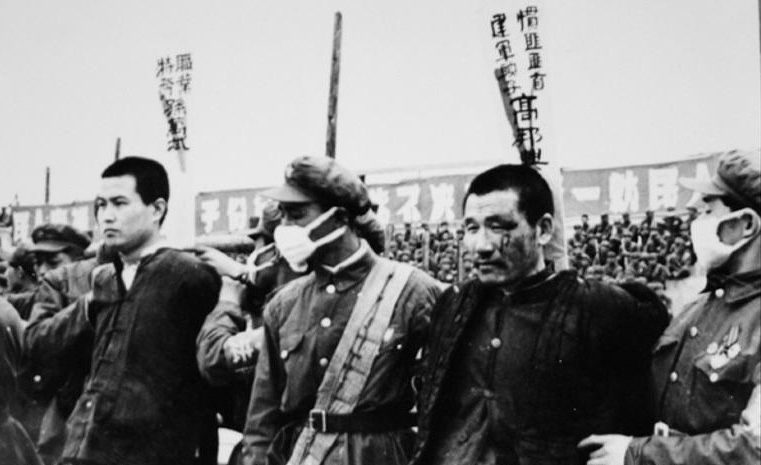 Picture 40