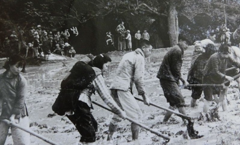 Picture 41